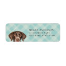 Search for german shorthaired pointer return address labels Dog