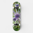 Search for coast skateboards Nature