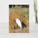 Search for bird fathers day cards White