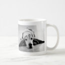 Search for non profit mugs Charity