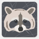Recherche de racoon autocollants Raton laveur