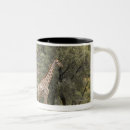 Search for giraffa camelopardalis mugs Tree