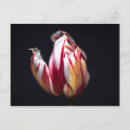 Recherche de macro cartes postales Mort