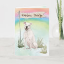 Search for american staffordshire terrier Dogs