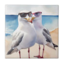 Recherche de mouettes carreaux Maritime