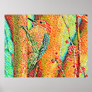 Recherche de faux bois posters Nature