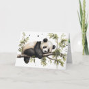 Search for panda bear birthday cards Bamboo