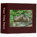 Search for hogs office supplies Wildlife