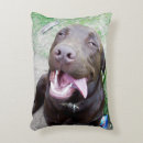 Search for chocolate labrador pillows Pet