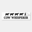 Recherche de vache voiture autocollants Bovin