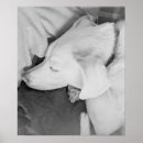 Search for tired photography Black and white