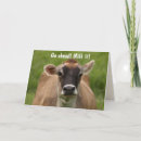 Recherche de bovin vœux cartes Animaux