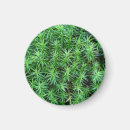 Search for green moss magnets Nature