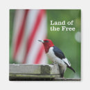 Recherche de ornithologie magnets Birding