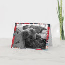 Search for pitbull thank you cards Thinking of you