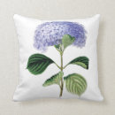 Recherche de hortensias coussins Botanique