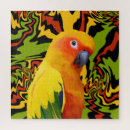 Recherche de parrot puzzles Conure