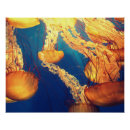 Search for underwater posters Aquatic animals