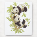 Search for bear lovers mousepads Teddy