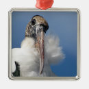Search for stork ornaments Animal
