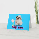 Search for pet rescue cards Pets to the rescue