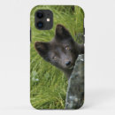 Search for arctic animals iphone cases Alaska
