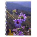 Search for asters notebooks Purple