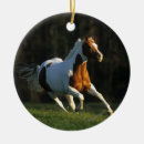 Recherche de peignez la boule Fonctionnement