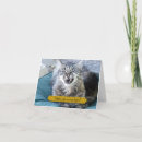 Search for cat humor note cards Humour