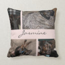 Recherche de coutume maison deco Amoureux des chiens