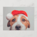 Recherche de chien père noël cartes postales Canine