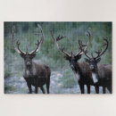 Recherche de wapiti puzzles Bois