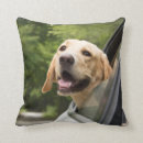 Search for labrador pillows Animal