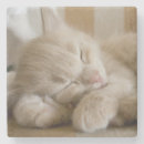 Search for whiskers coasters Pet