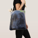 Search for expressive eyes Animal
