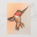 Search for colibri postcards Garden