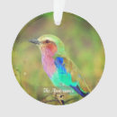 Search for multicolored ornaments Cute