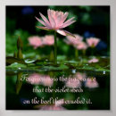 Search for love is sweet sign posters Classy