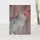 Search for rock cards Poultry