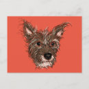 Search for dog walker postcards Doggy daycare