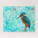 Search for kingfisher puzzles Nature