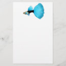 Search for fancy fish Livebearers