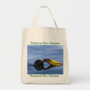 Search for kelp bags Ocean