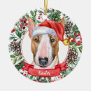 Recherche de bull terrier ornaments Vacances