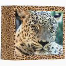 Search for leopard photo binders Jaguar