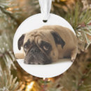 Search for pug ornaments Adorable