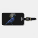 Search for gothic style Bird