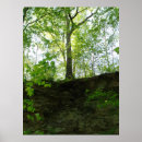 Search for outdoor posters Trees