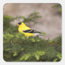Search for american wildlife stickers Animal