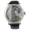 Search for conure accessories Bird
